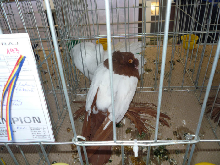 P1010902