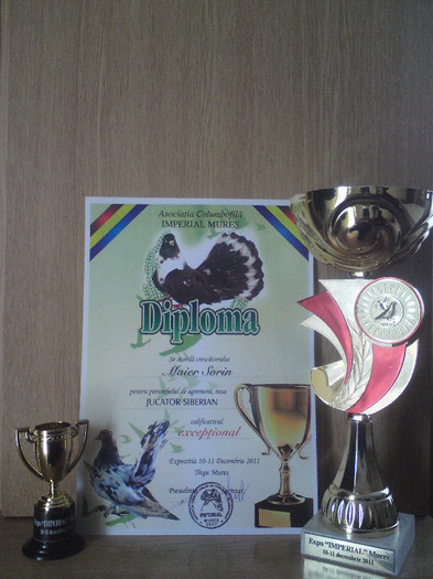 Expo 10-11 Dec 2011 Tg-Mures