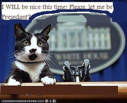 650x1600_funny_pictures_cat_makes_political_statement[1]