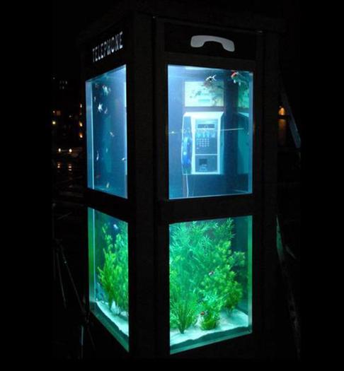 650x1600_fishtankphonebooth_700[1]