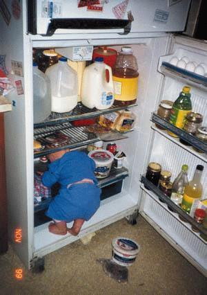 650x1600_fridge[1] - POZE AMUZANTE