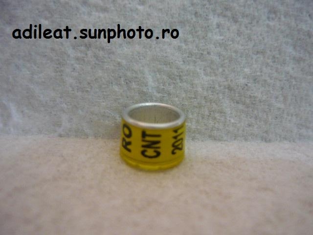 RO-2011-CNT - 5-ROMANIA-CNT-ring collection