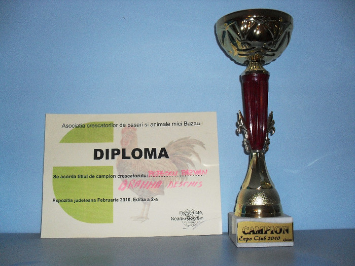 SDC12715 - A_TROFEE