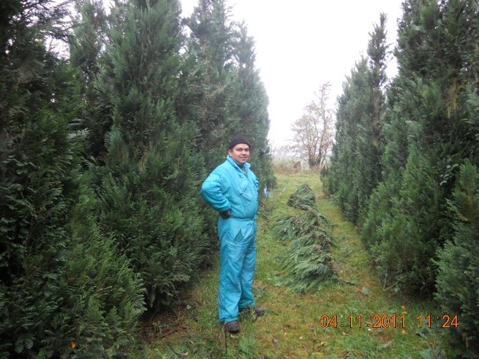 DSCN2772 - La Munca Prin Germania Si Danemarka