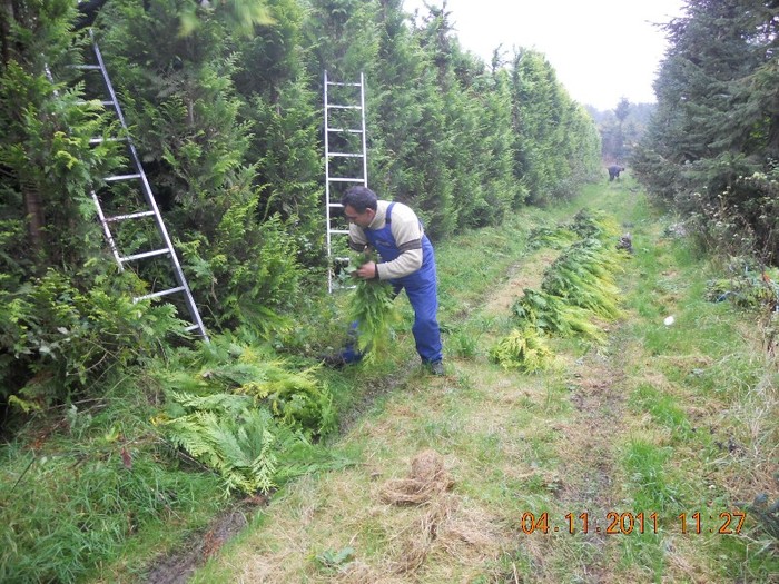 DSCN2779 - La Munca Prin Germania Si Danemarka