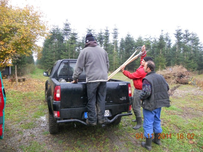 DSCN2813 - La Munca Prin Germania Si Danemarka