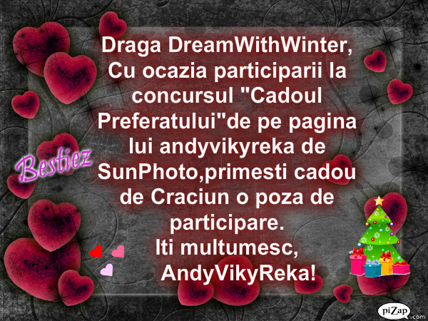 Pt.DreamWithWinter - Cadou de Craciun pentru participantii concursului 1