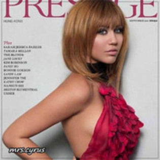 narcisa-salbatica-505221l-imagine