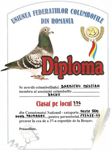 diploma de expozitie - CUPE-DIPLOME