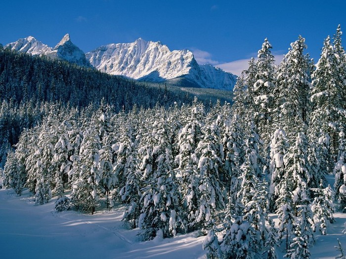 Fairview and Saddle Mountains, Alberta - POZE IARNA 2011