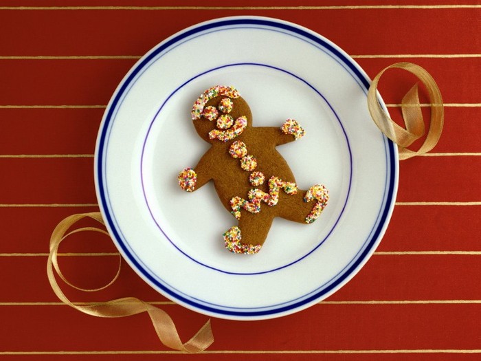 Gingerbread Man - POZE IARNA 2011