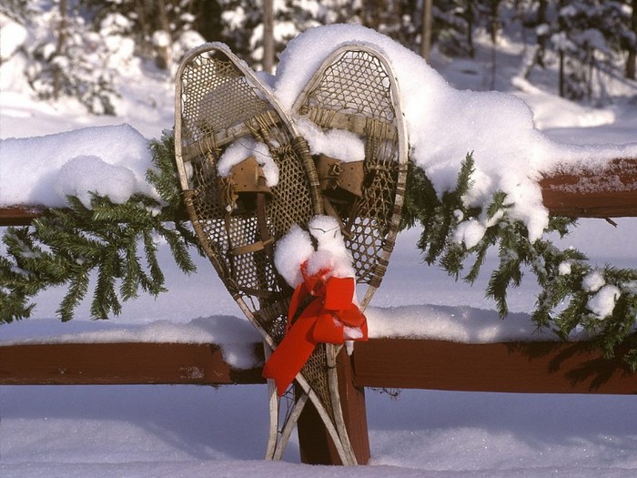 Holiday Snowshoes, Vermont