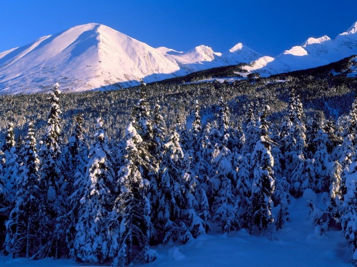 Kenai Mountains, Canyon Creek, Alaska - POZE IARNA 2011