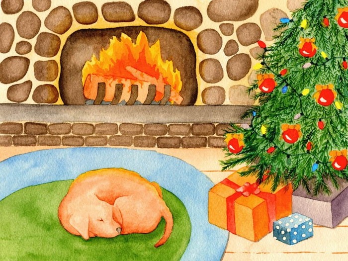 Napping by the Fire