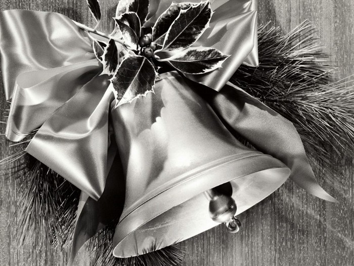 Silver Bell