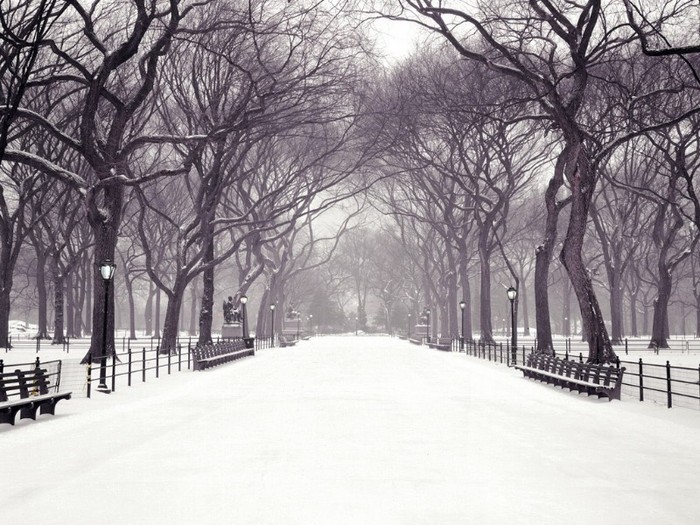 Statuary Walk, Central Park, New York City, New York