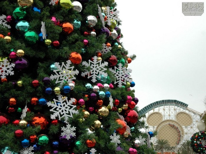 wp_05_1208_DCA Christmas_11