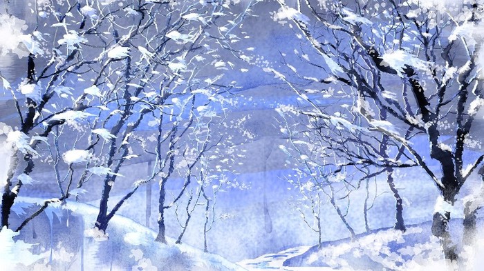251 - POZE IARNA 2011