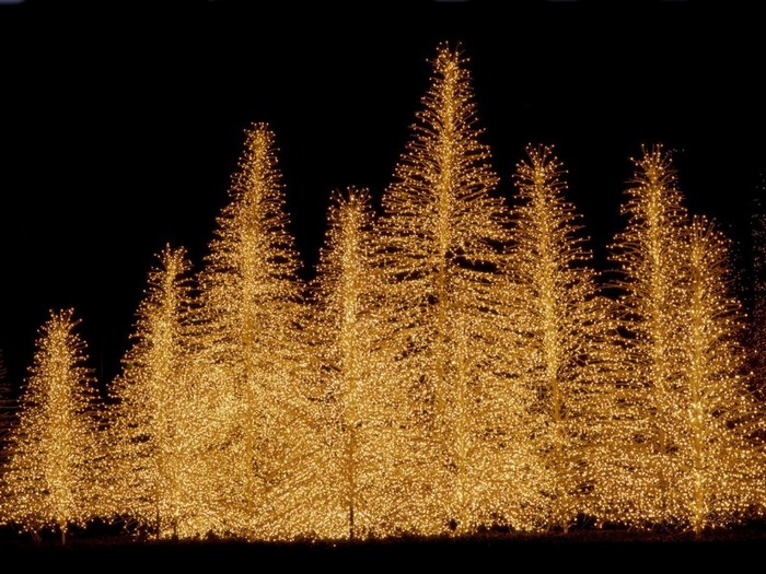 Brilliant Display, Interfirst Plaza, Houston, Texas