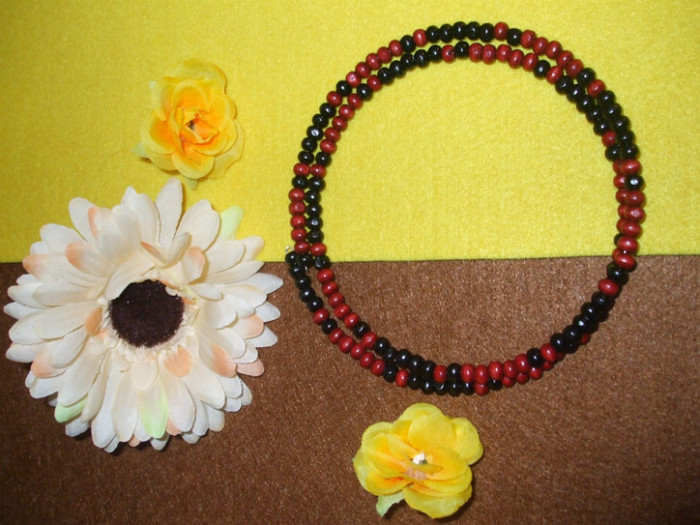 colier bicolor; colier la baza gatului cu margele rosii si negre din lemn. pret: 9 lei
