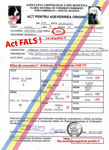 fals pedigree - Pedigree false gresite incomplete