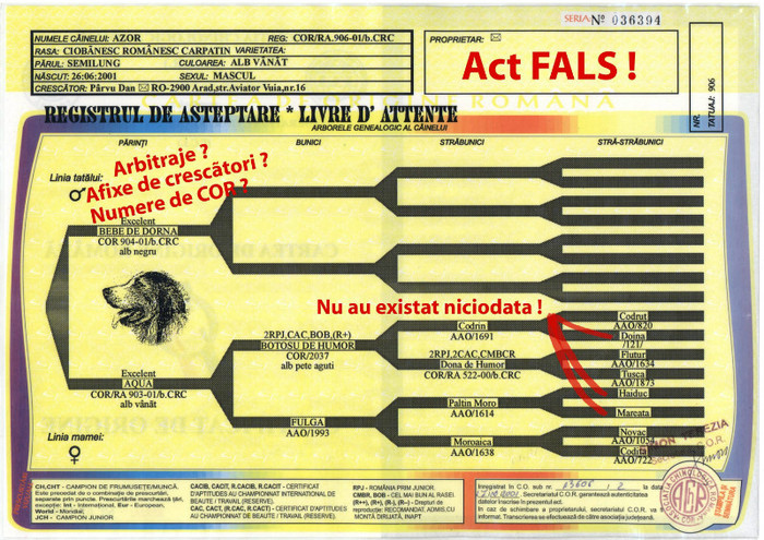 Azor _ Fals Rom - Pedigree false gresite incomplete