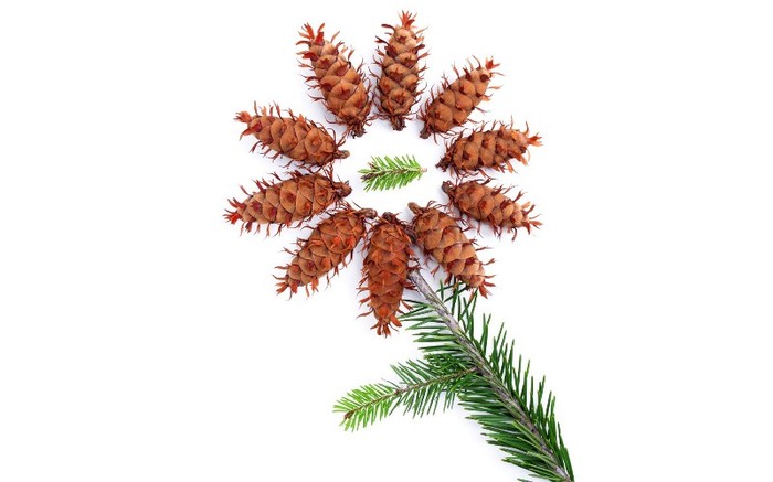 TENEBRA63 - holidays Wallpaper
