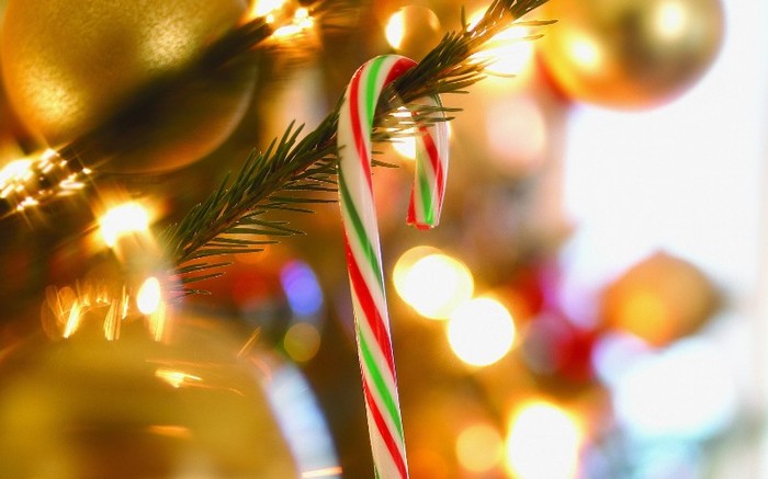 TENEBRA80 - holidays Wallpaper