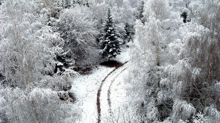 zim_skazka (5) - holidays Wallpaper
