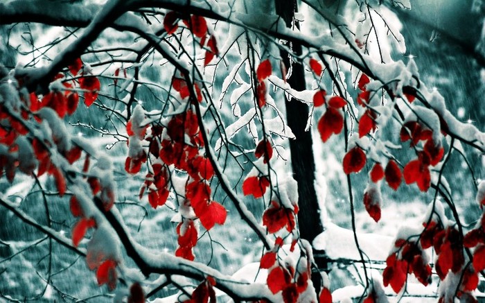 zim_skazka (40) - holidays Wallpaper