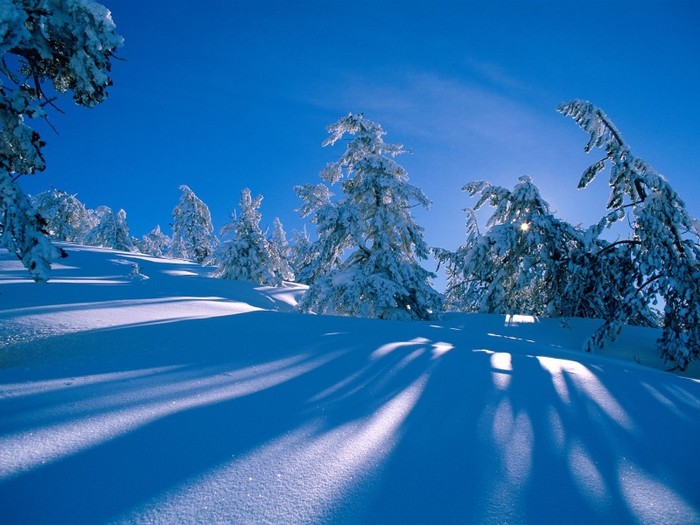 scl.winter (34) - WALLPAPERS IARNA