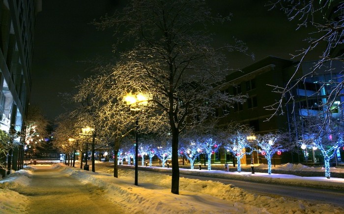 city_0154