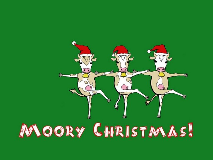 Cowrus Line - Christmas