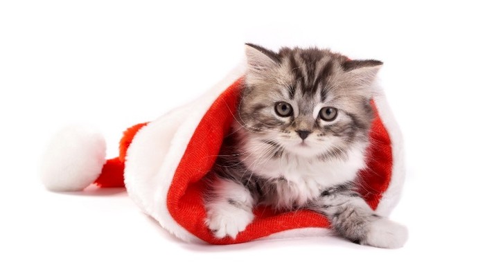 2 - Christmas