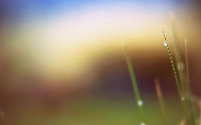 BestHDWallpapersPack301_83_bender777post - Best HD Wallpapers