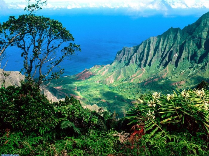 8437_Kalalau_Valey_Hawaii