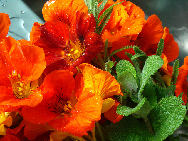 6232473215_703fb30151_z