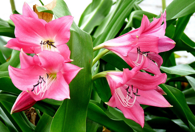 6175279797_d2d9ec72da_z