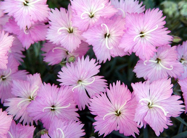 6095868760_c819ecb8b3_z