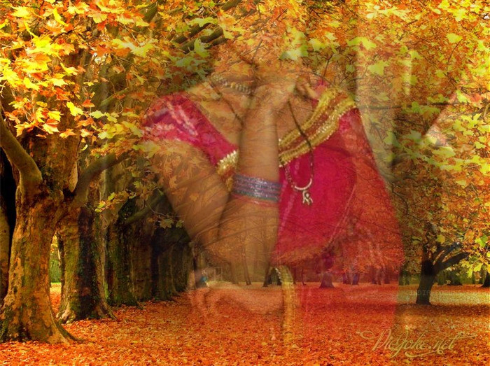 2-ro-b24998b5fde0752eb4db28683897bfb7 2-ro-b24998b5fde0752eb4db28683897bfb7