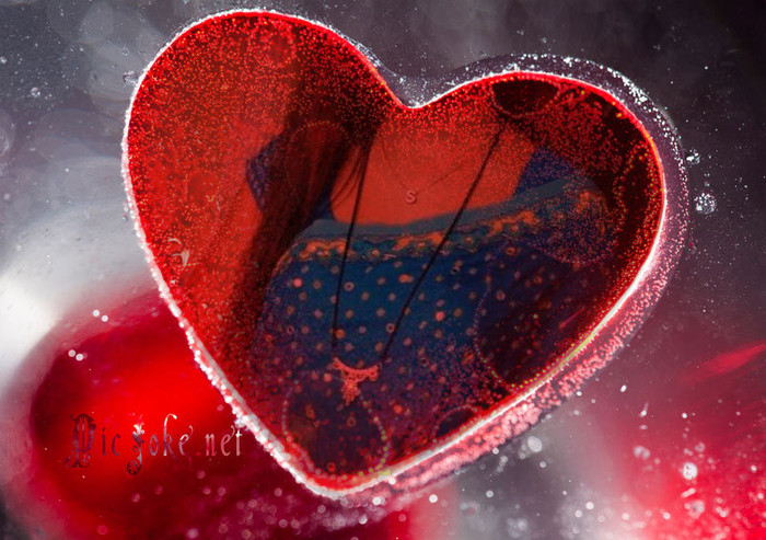 11-en-2ec90359eb1a73d2e542ddda29e6e38a 11-en-2ec90359eb1a73d2e542ddda29e6e38a