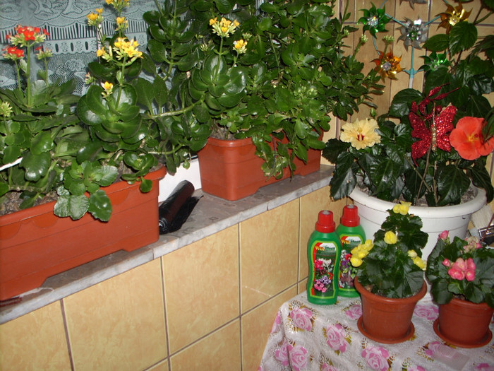 Photo 007