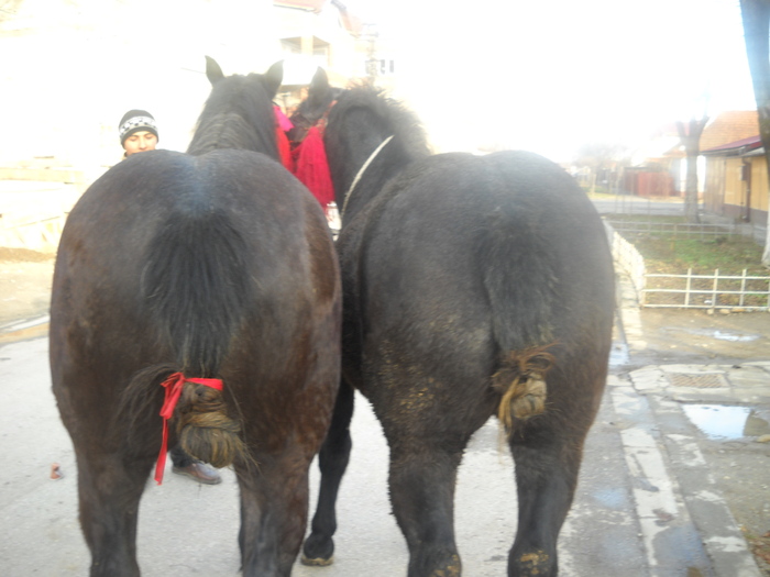 irina,carina au  1.7 luni