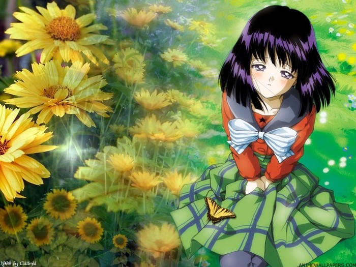 1_35_449_sailor-moon - Sailor moon