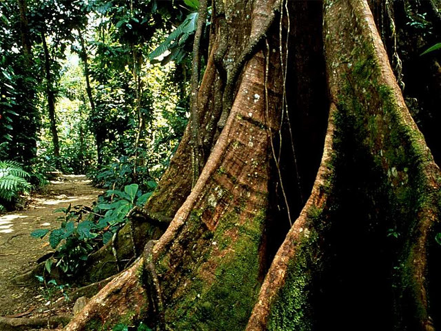 poze natura1, - peisaje