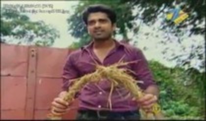 Choti Bahu 2 in Love [46]