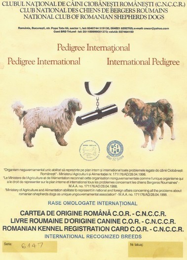 corbu de centea pedigree 1 - Pedigree corecte