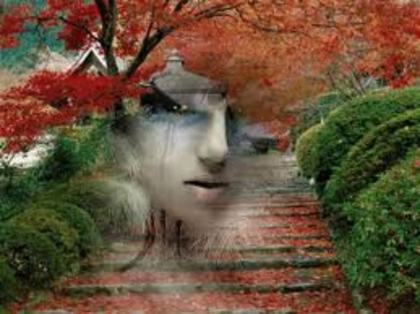 images (1) - poze frumoase