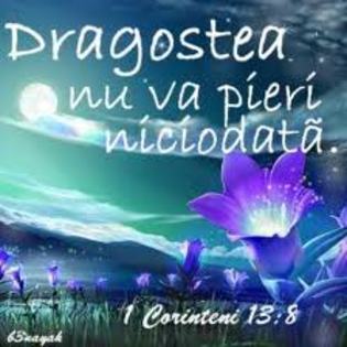 images (12) - poze frumoase