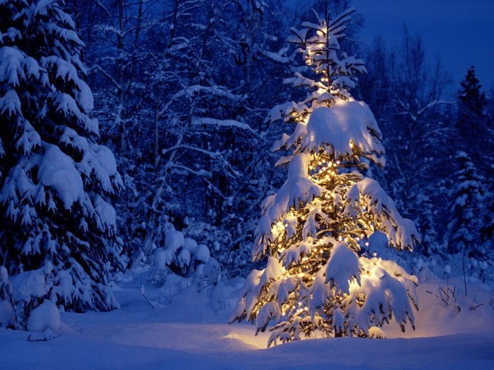Craciun Peisaje de Iarna Zapada Peste Brazi - cadou de craciun pt cea mai buna dost dn lume